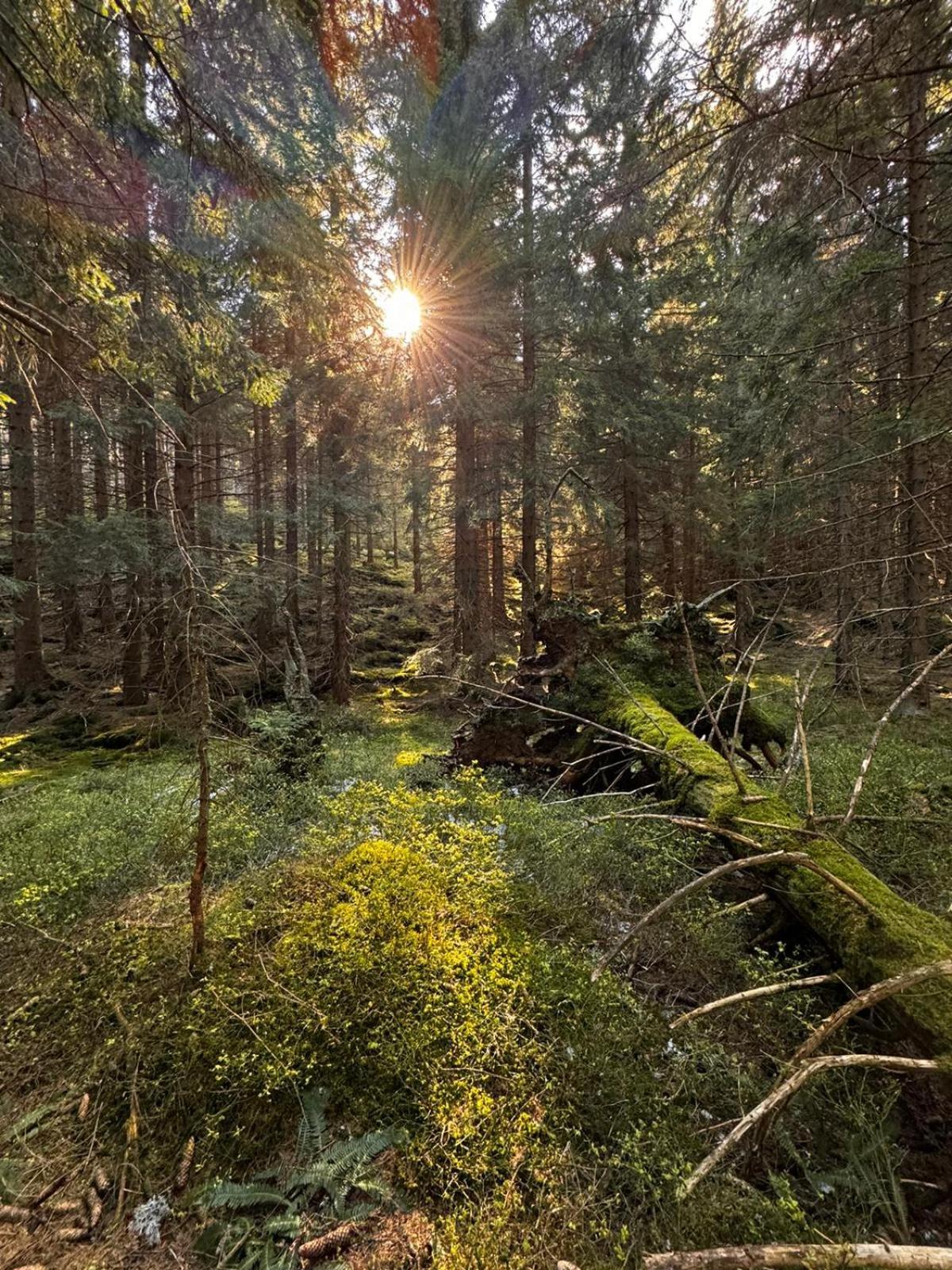 Chata Pod Studnicnou Pec pod Snezkou Esterno foto