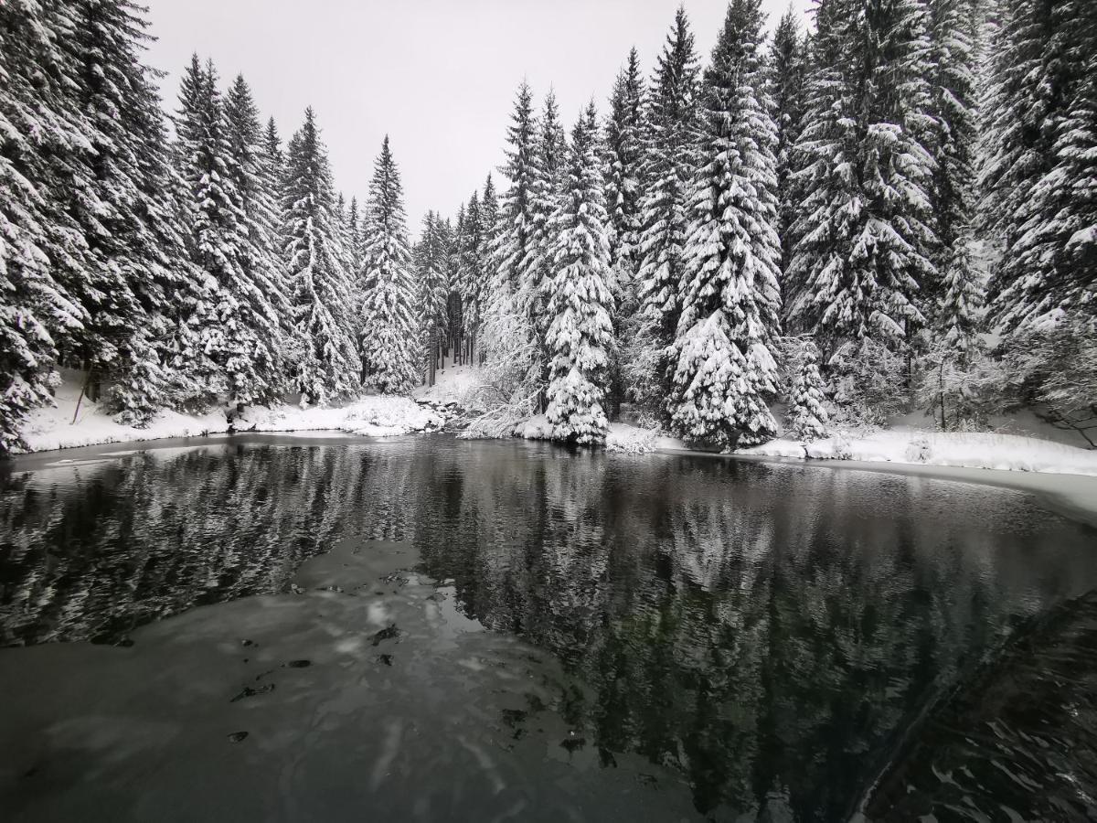 Chata Pod Studnicnou Pec pod Snezkou Esterno foto