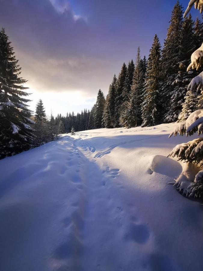 Chata Pod Studnicnou Pec pod Snezkou Esterno foto